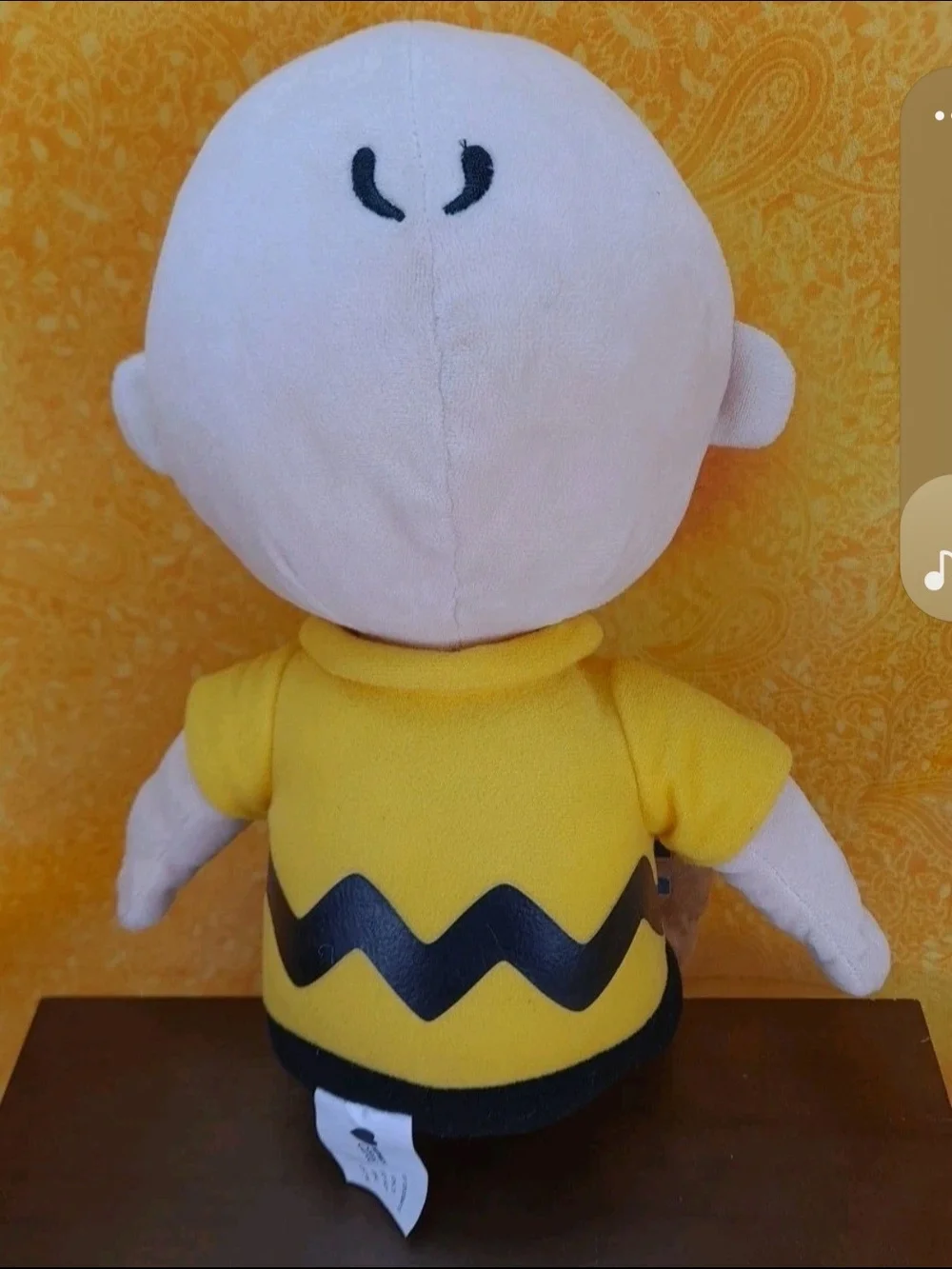 Peanuts Charlie Brown 12